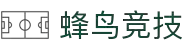 蜂鸟竞技 - 专业电子竞技平台